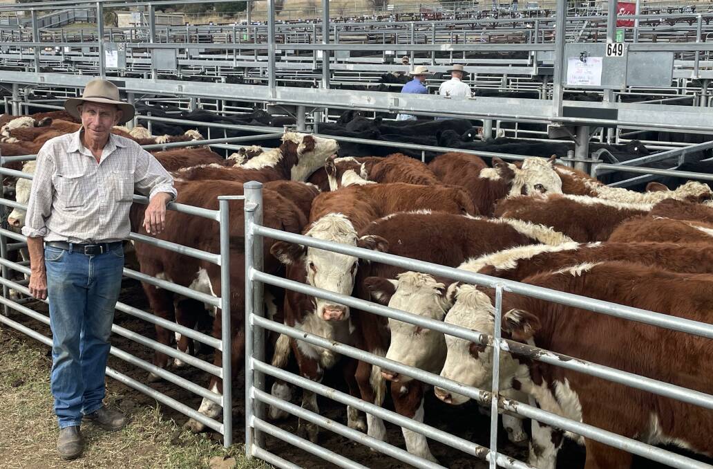 Michael Green, Nimmitabel, sold 20 Kaludah-blood Hereford steers weighing 330kg for $900 a head at Cooma on Wednesday.
