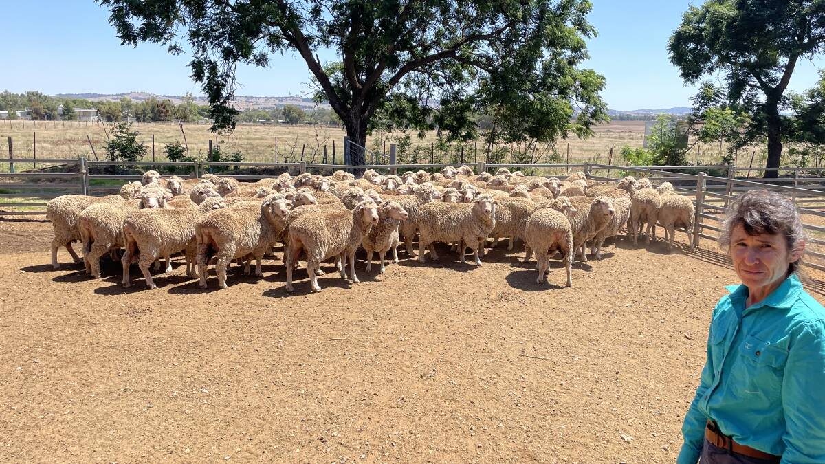 Research into containment joining of ewes