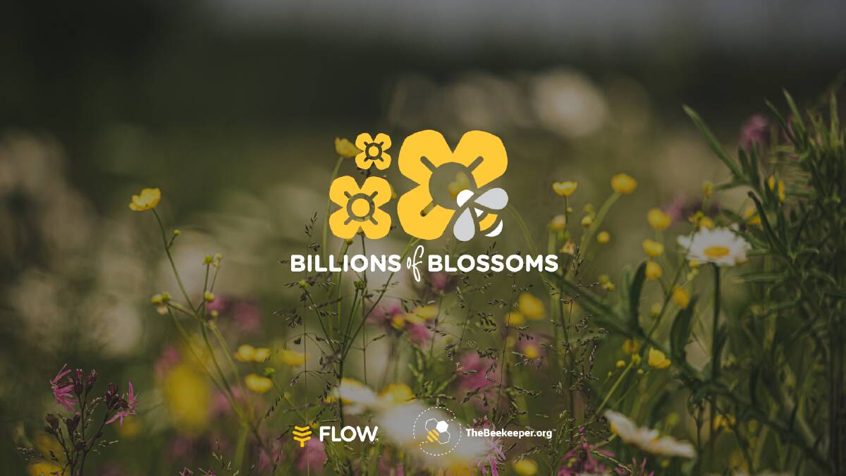 TOGETHER: The Billions of Blossoms project has partnered with key conservation organisations throughout the world. 