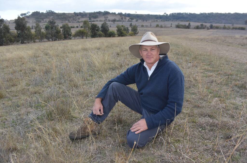 Total ground cover is a reflection of sensible management at  Figtee Farms near Inverell, where manager Glenn Morris has been implementing change for the past decade.