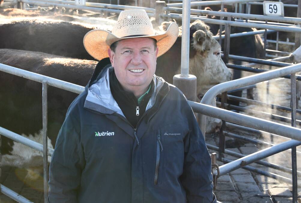 Australian Livestock and Property Agents president Peter Cabot, Wagga Wagga, said the proposed live export ban is "the craziest decision" he has seen in more than 30 years involved in agriculture. File photo 