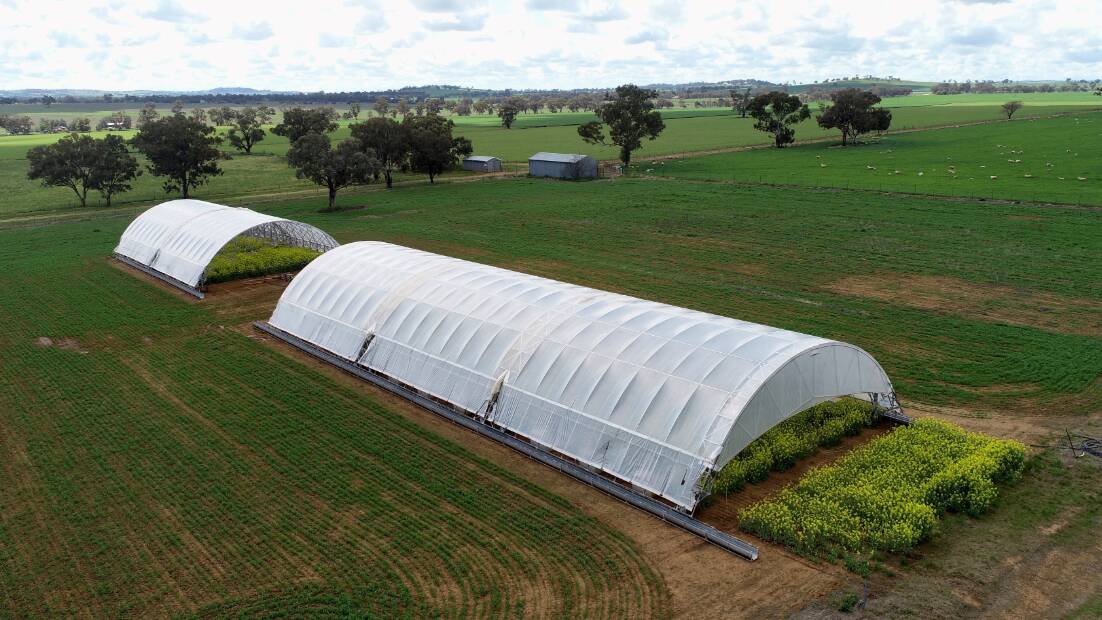 A rain out shelter to simulate drought conditions.
