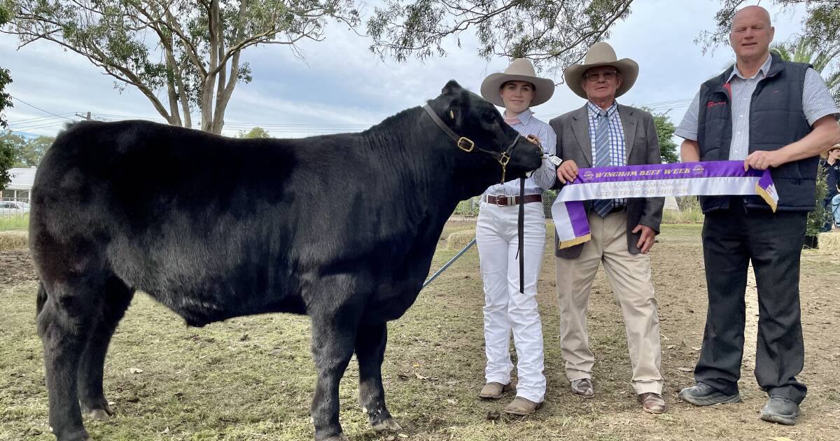 Wingham Beef Week 2022 awards top gong for led steer PHOTOS The Land