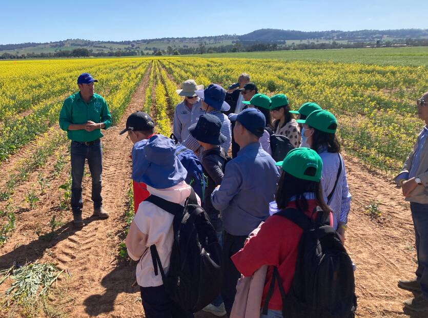 Overseas researchers keen to learn about canola trials.