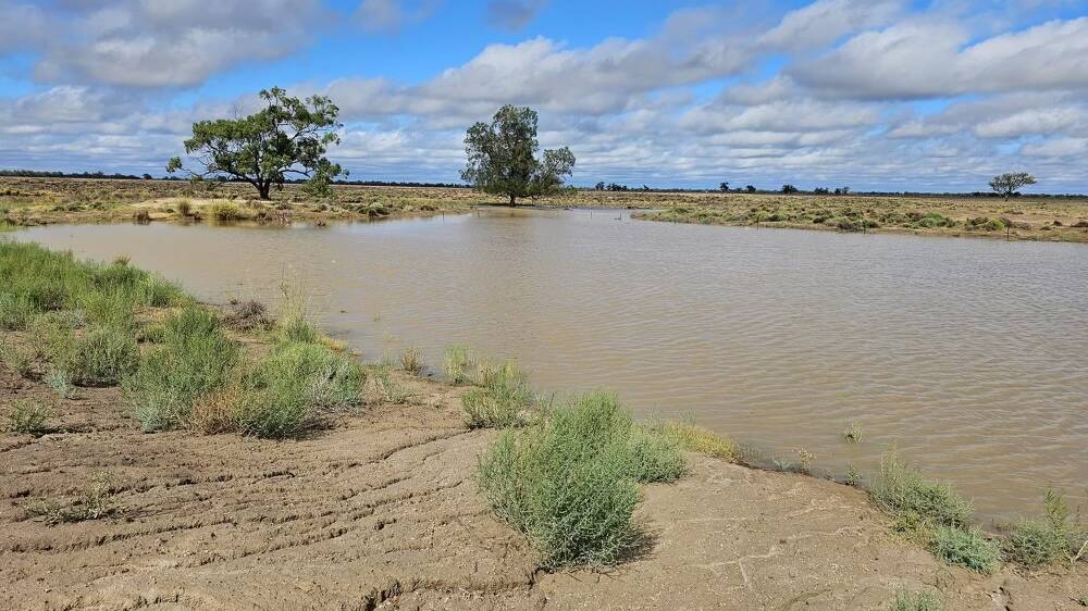 Mullengudgery's half full dam after 100mm fell at Nyngan. Picture by Manning Doughty.