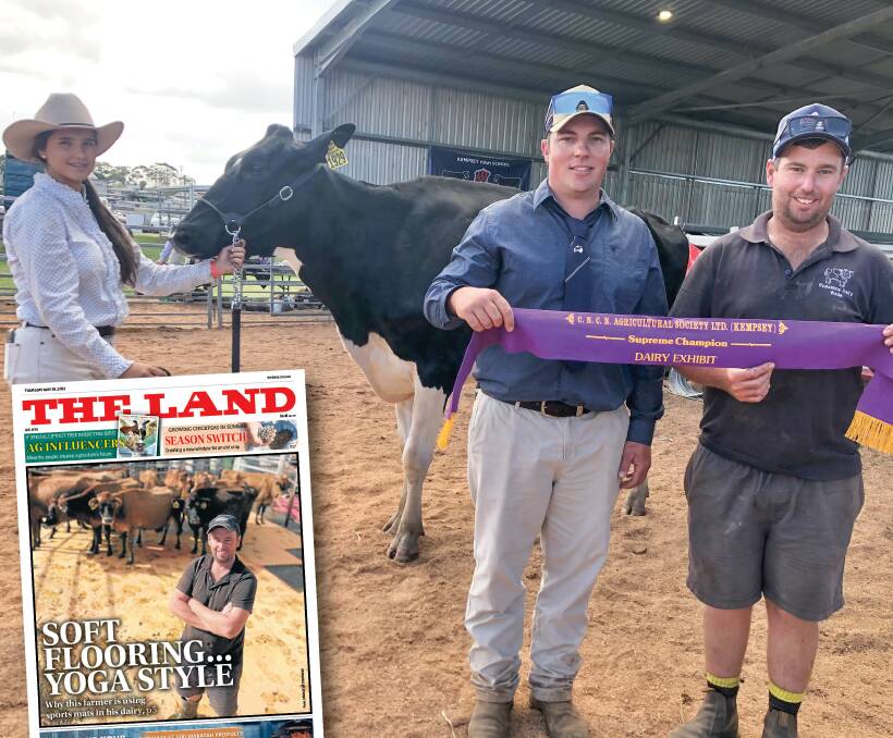 Dairy farmer Wade Francis with the supreme dairy exhibit at Kempsey Show along with parader Alice McNee and judge Joel Dorries. Inset is The Land cover (May 26) when Mr Francis used sports mats to keep his herd dry in floods.