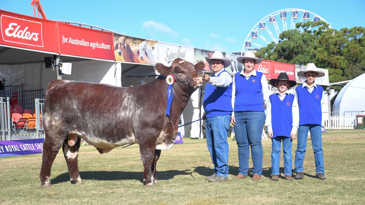 Best exhibit, Roly Park Thunderstruck, and exhibiters Scott, Tiffany, Axel and Seth Bruton, Roly Park Shorthorns, Lake Boga, Vic. Picture: Clare Adcock