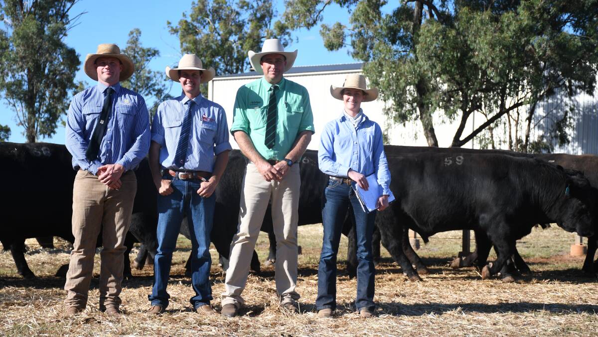 Ed Bradley, Hazeldean, Brad Passmore, Hourn and Bishop, Andrew Holt, Nutrien, and Bea Litchfield, Hazeldean, with some of the top selling sale bulls at Drillham. Picture: Clare Adcock