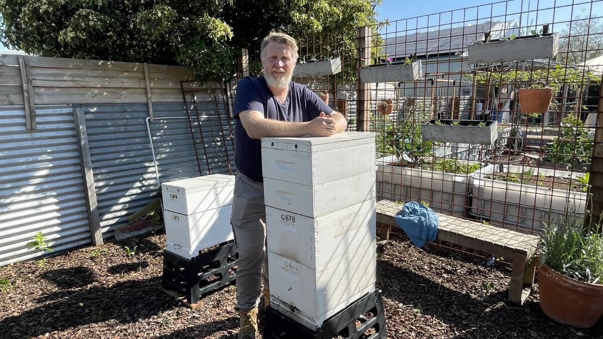 Consumers urged to support local beekeepers, as Varroa mite begins to bite