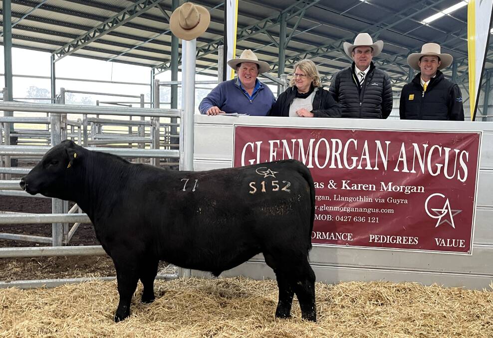 Nicholas and Karen Morgan, Glenmorgan Angus, auctioneer Paul Dooley and Ray White Livestock Guyra/Amidale's Sam Sewell with the $24,000 Glenmorgan Beast Mode Man S152.