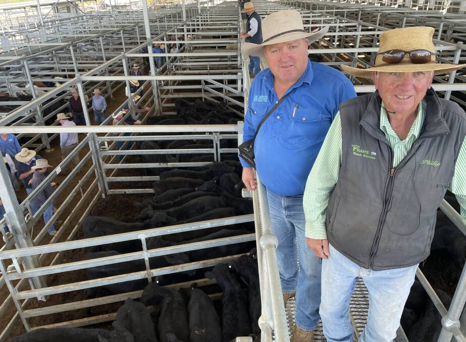 Justin Williamson, Williamson Rural Marketing, and Phillip Frame, Frame Rural Inverell, with a pen of 63 steers offered by George Boland, Moree.