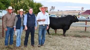 Auctioneer Wayne York, Wendy Mayne, Texas Angus, Warialda, auctioneer Mark Duthie and Ben Mayne, Texas Angus and the $100,000 top-priced bull, Texas TNT, which was bought by Chris and Robin Kemp, Milparinka, Blackall. Pictures by Simon Chamberlain
