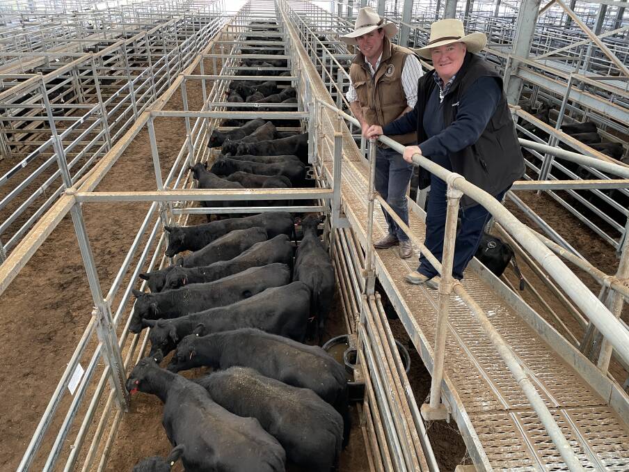 The judge James Millner, Blainey and Hunter Valley Angus Breeders Association president Christine Brooker, Main Camp, Rouchel, inspect the champion pen of the HVABA sale, offered by Tivoli Angus, Merriwa.