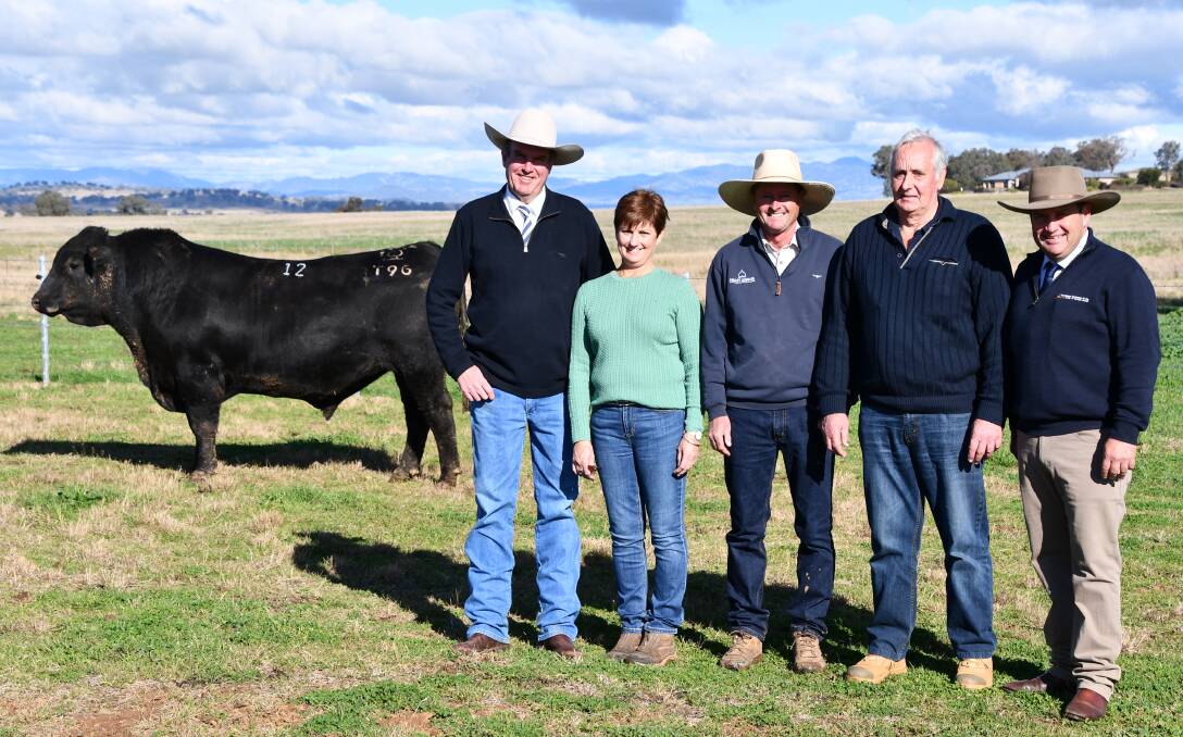 Repeat buyers put a solid foundation in Heart Angus bull sale