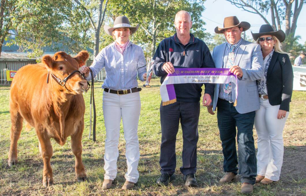 Wingham Beef Week Aberdeen paraders take the championship ribbon The