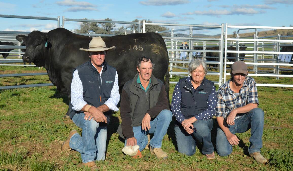 Strong result for Belview Brangus sale
