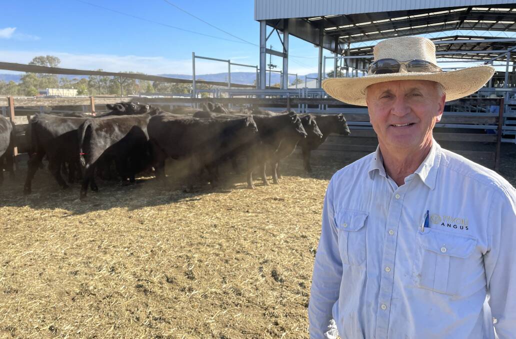 Hugh Kraefft, manager and partner in Tivoli Angus, Merriwa, with the $1520 PTIC heifers, judged the champion pen of the Hunter Valley Angus Breeders Association sale. Picture by Simon Chamberlain.