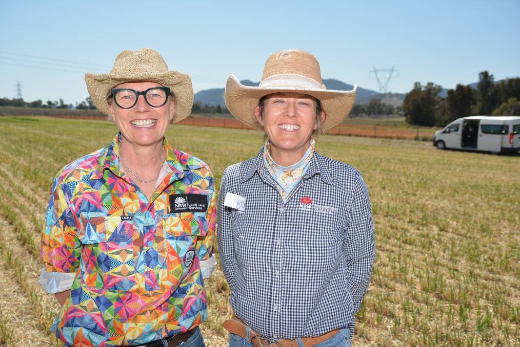 North West Local Land Services district vet Heidi Austin and NWLLS livestock officer Sally Balmain. Picture by Simon Chamberlain