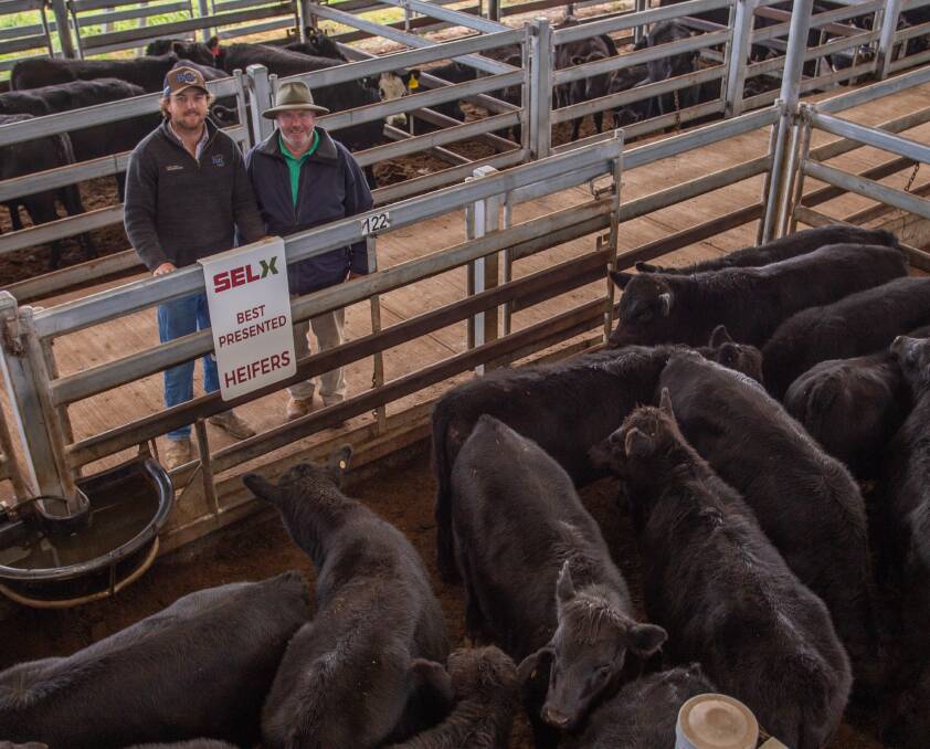 Luke Corcoran, Butt Livestock with Brian Blundell 'Brookvale', Uriarra, and his 22 Angus heifers, 283kg, sold for $815. The heifers were awarded best presented pen. Picture by SELX. 