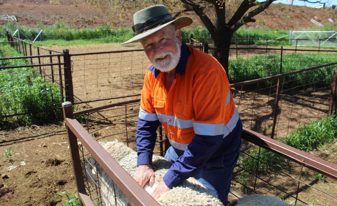 Woolgrower Ken Keith has been getting higher yields from his wethers being run under the Parkes solar farm as part of a trial with the Parkes Show Society and NSW Department of Primary Industries. Photo: Denis Howard