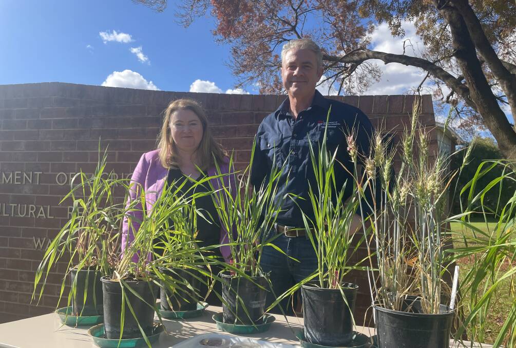 Minister for Agriculture Tara Moriarty and NSW DPI senior plant pathologist Dr Andrew Milgate at the Wagga Wagga Agricultural Institute. Picture by Alexandra Bernard. 