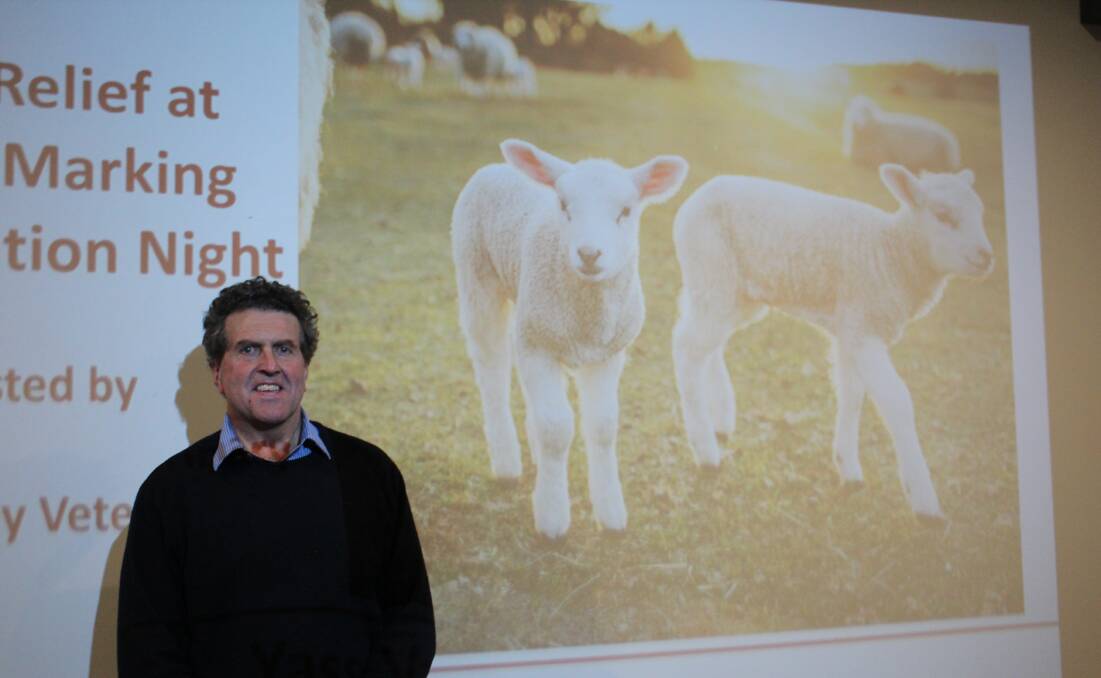 Hosting an information night on pain relief at lamb marking Dr Stuart Williams, Yass Valley Veterinary, said multimodal pain relief was now considered best practice. 