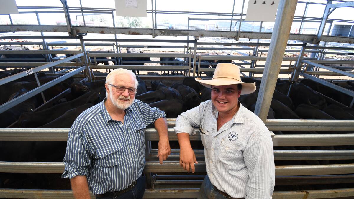 Robert Bowman, Bonnie Doon, Manilla, and Michael Purtle, Purtle Plevey, Manilla, with 21 Angus steers that sold for $1350 a head at Tamworth. Picture by Ben Jaffrey.