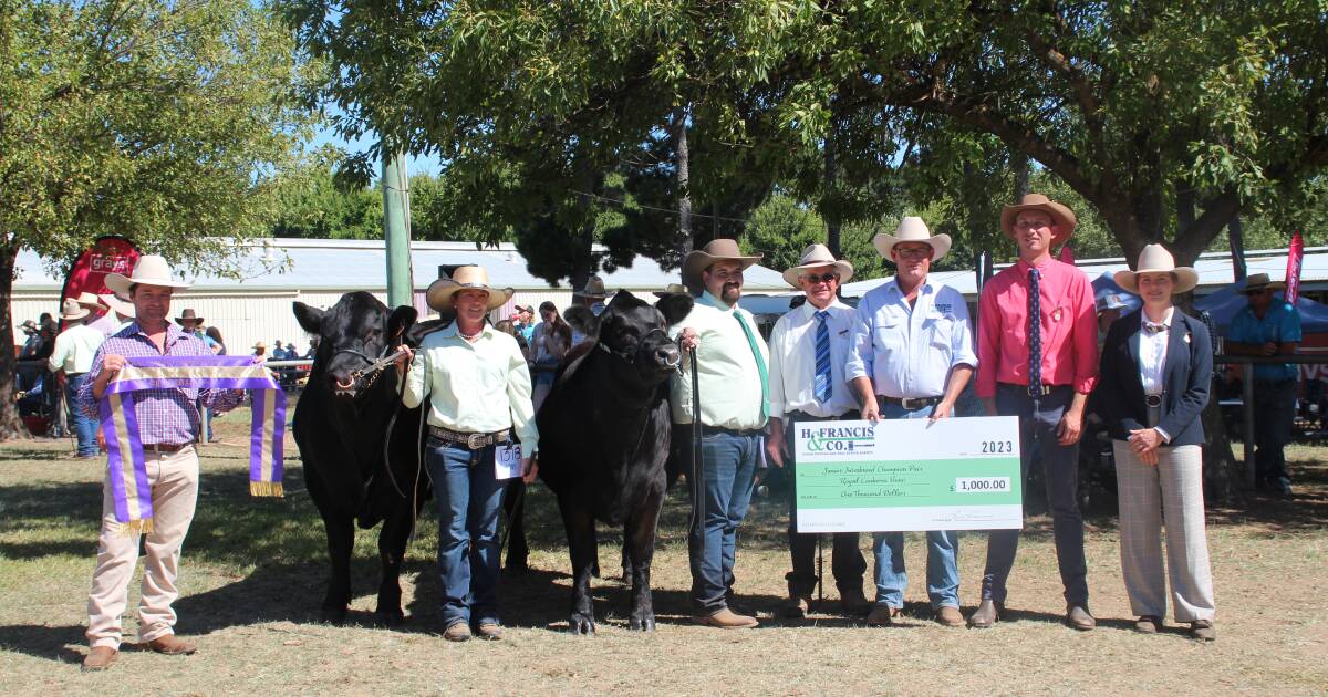 Canberra Royal 2023 Interbreed results The Land NSW