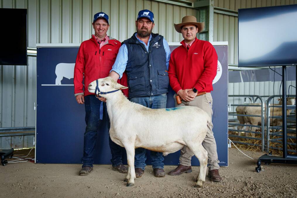 Dan Lustenberger, Bungarley Australian Whites, with Elders agents Henry Booth and Ryan Bajada with the top-priced Australian White ram sold for $20,000 at Bungarley, Tarcutta, last Wednesday. Photo: Supplied