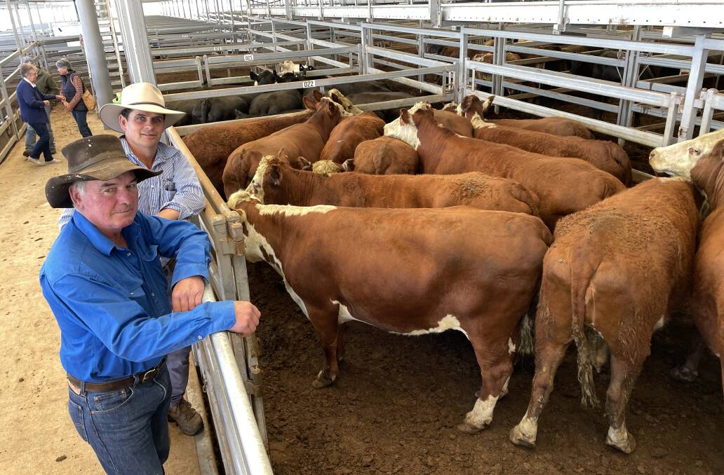 Sam Payne, Pitt Sons Walcha with vendor Ross Green, Inverness at Walcha with a pen of 13, cast for age Hereford cows, 648kg, sold for 398.2c/kg. Photo: Simon Chamberlain