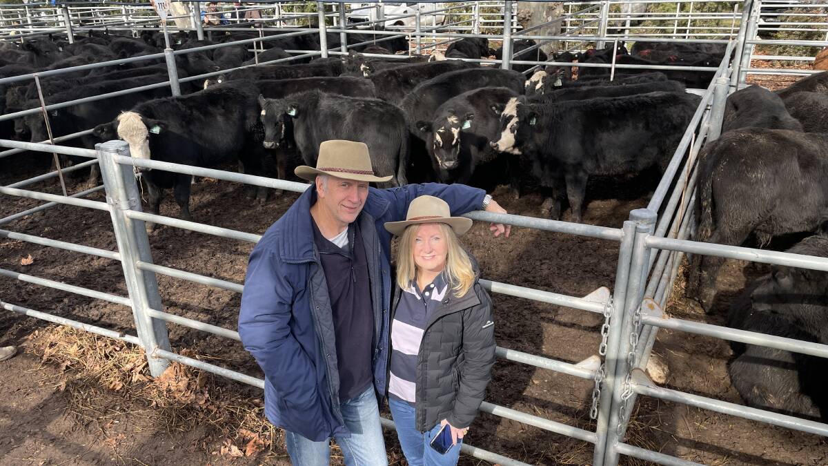 Brian and Heidi Henry, Sydney, with their 13 black baldy steers, 355kg, sold for $1100, on account of Barkleigh Pastoral Co, Tarrabandra. Picture by Alexandra Bernard. 