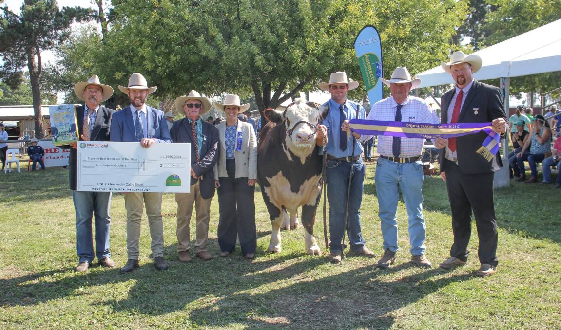 Head cattle steward Peter Frater, sponsor Shannon Lawlor, IAH, judges Steve Crowley, Barraba, and Hannah Powe, Cargo, handler Kieran Martin, exhibitor Danny Hill, and judge Tim Lord, Kangaloon, with the champion bull. Picture by Alexandra Bernard