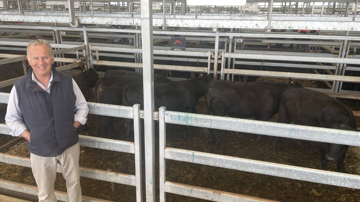 Matt Hawkins, Ettamogah, sold several pens of grown steers at Wodonga last Thursday including six Angus steers, 521kg, for $1195.
