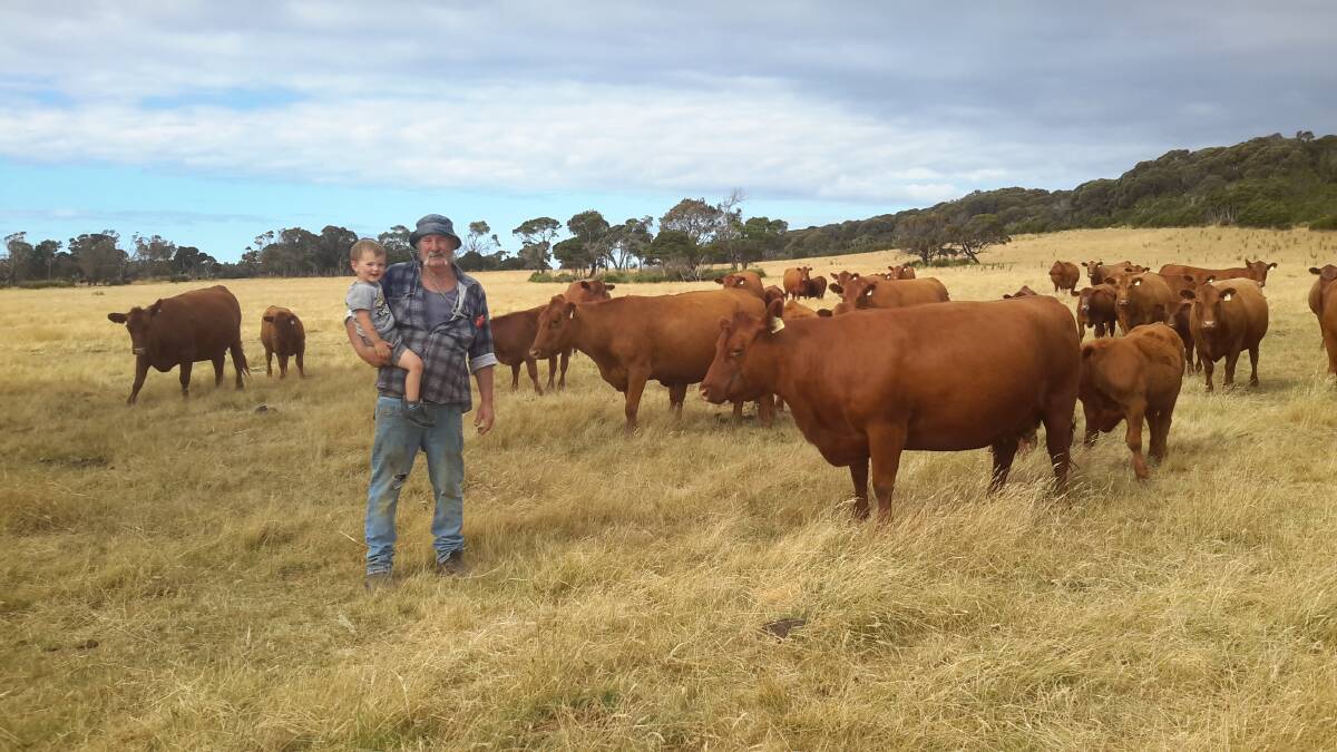 Stewart Archer with grandson Alex, 2, mainly breeds Red Angus with top bulls sourced from interstate. Photo: supplied
