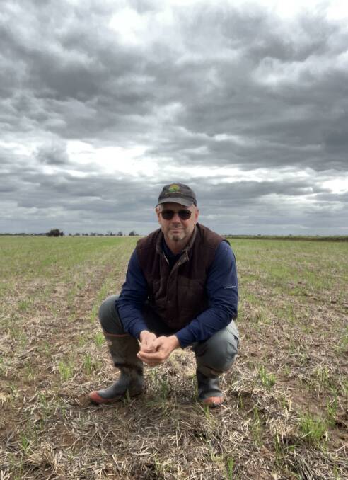 RiceGrowers Association Peter Herrmann at Murrami where he planted 80ha of medium grain rice on October 5. Photo: Supplied