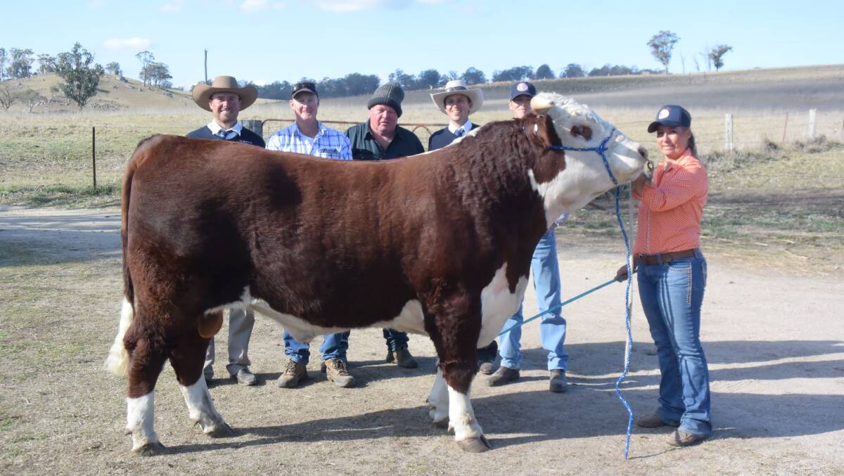 Greg Gallagher (centre) with 2019 top priced Amos-Vale bull, Shad Bailey, Mark Campion, Steve Daley, Bradyn Campion and Casey Wieck. File picture 