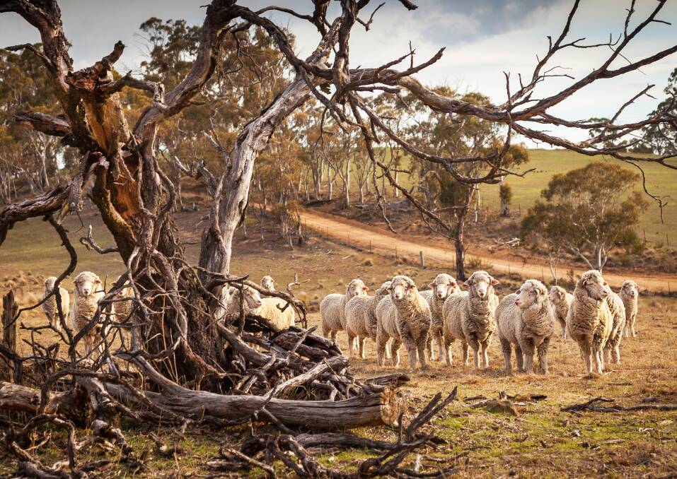 Robert Baillie's winning entry in the Regional Development Australia Central West photography competition. Picture by Alise McIntosh