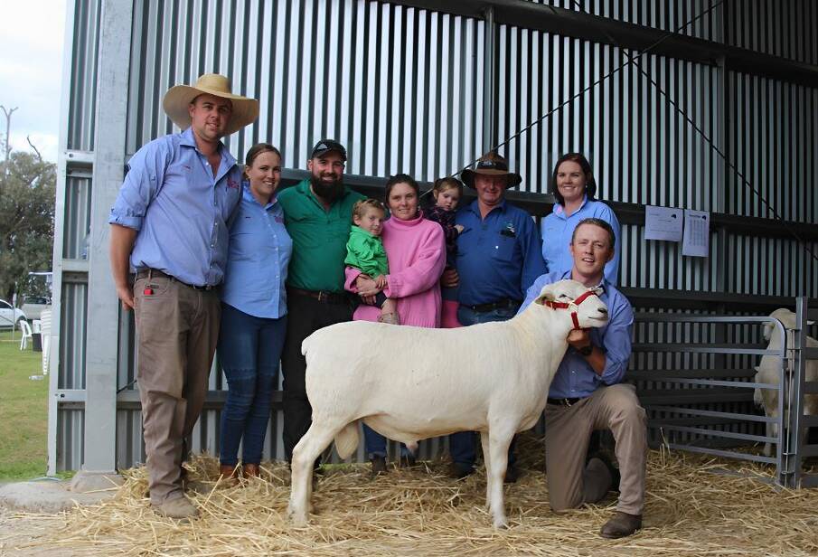 The $17,000 third top-priced ram, with Ethan Endacott, Aimee Toole, James, Noah, Alicia, Millie and Steve Whale, Gollan, Jessica Endacott and Josh Toole, Red Hill. 