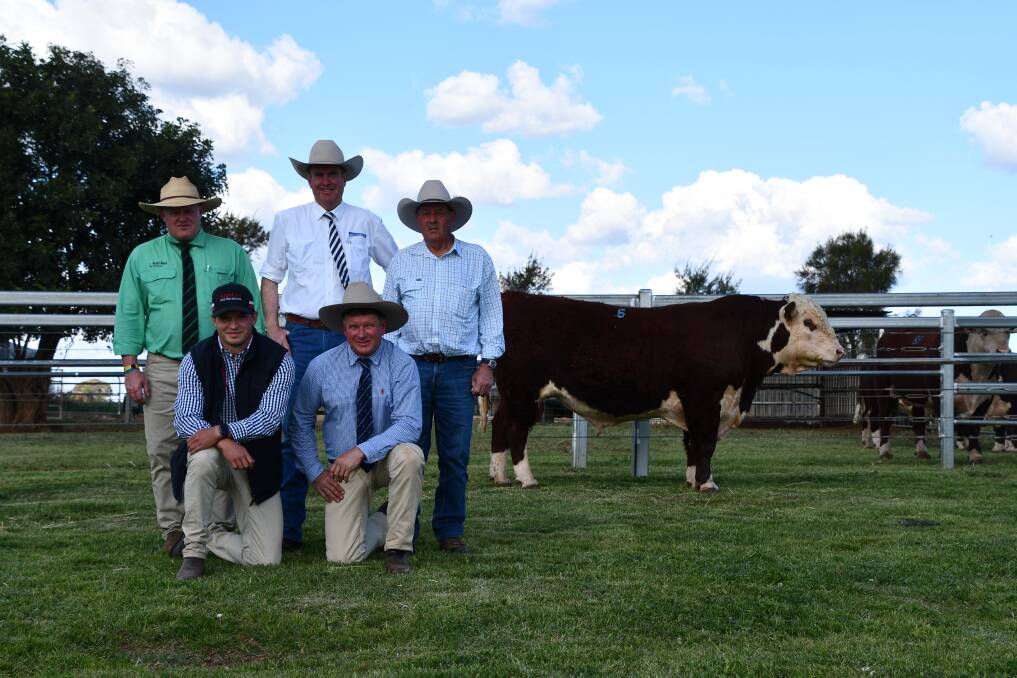  Kidman President S038 with John Settree, Nutrien Dubbo, Paul Dooley, Auctioneer, Greg Rees, The Ranch, and Harrison and Nelson Carlow, Kidman Poll Hereford
