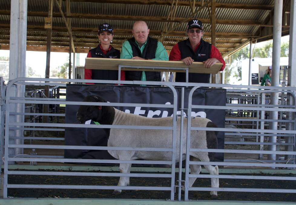 The $3800 top-priced Dorper Winrae 225327 with Mel and Nick Pagett, Winrae, and John Settree, Nutrien Dubbo.