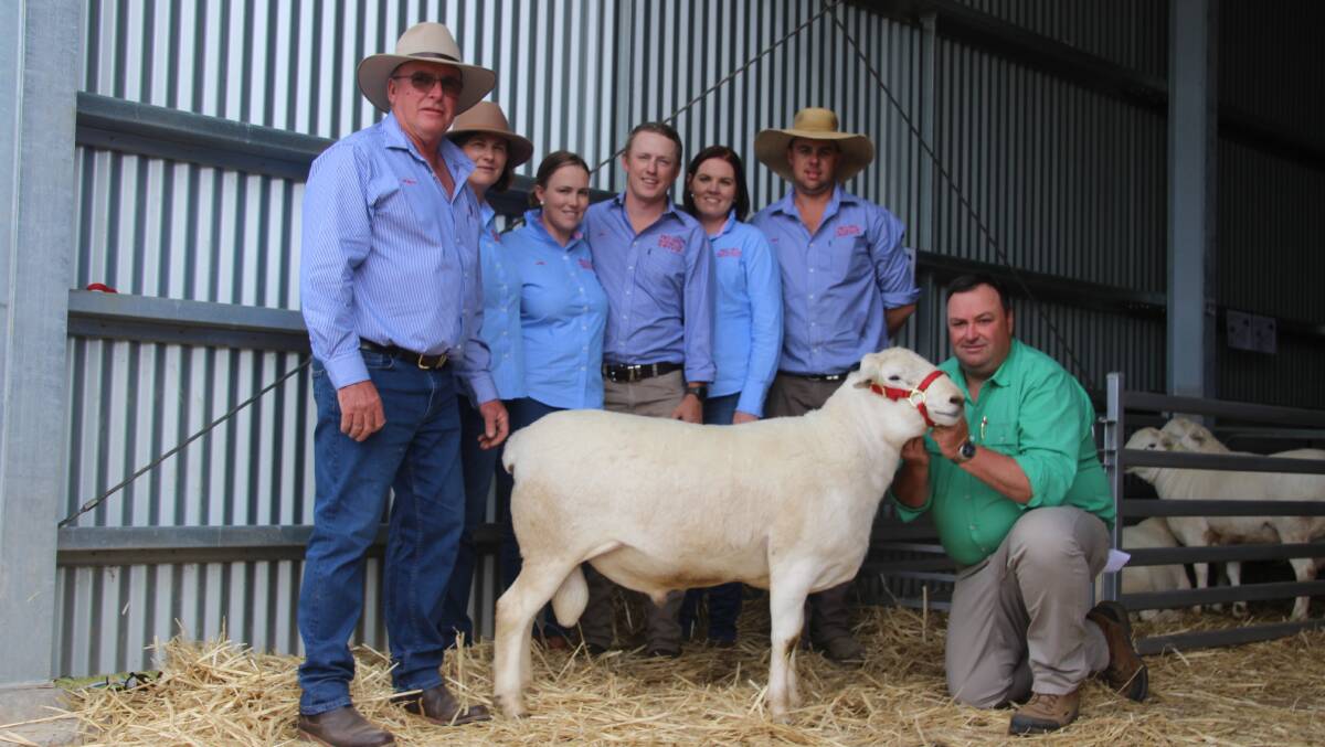 The $19,000 top-priced ram, Red Hill 210815, with Robert, Leanne Endacott, Aimee, Josh Toole, Jessica, Ethan Endacott, Red Hill and Brad Wilson, Nutrien Dubbo. Photos: Kasey Bogie