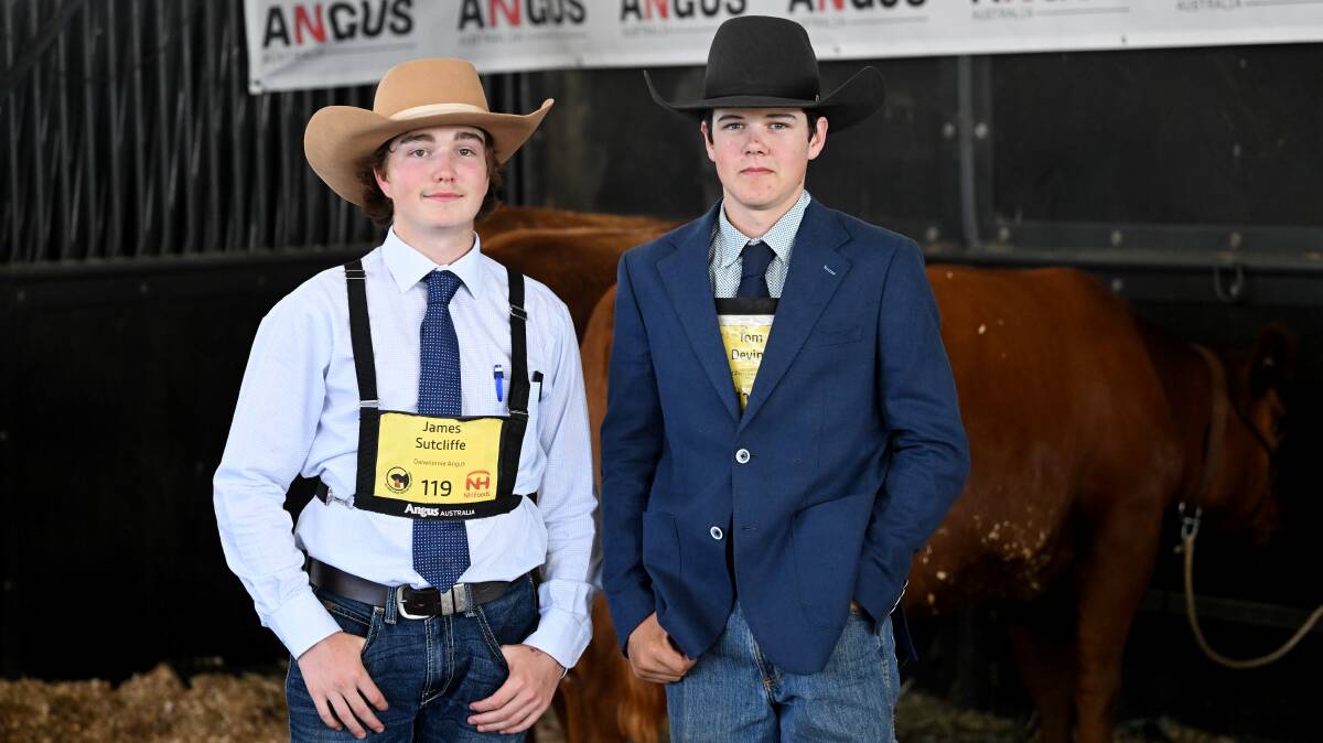 Tamworth locals James Sutcliffe and Tom Devine participate in the 2024 Angus Beef round-up. Picture by Gareth Gardner.