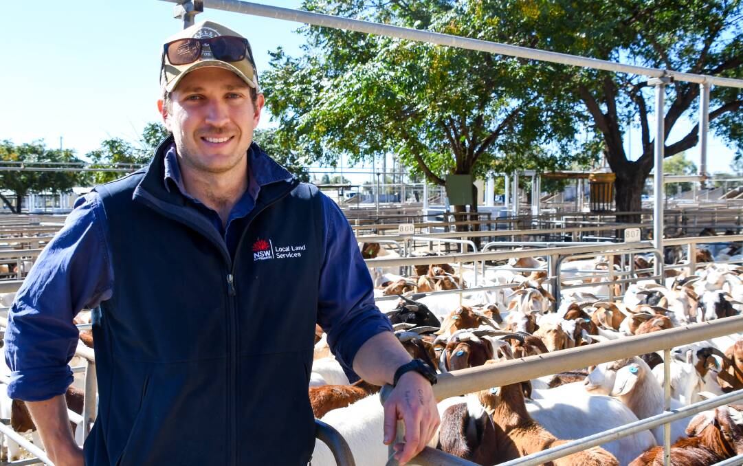 Local Land Services senior agricultural goat advisor Kieran Smith, Dubbo, at the Dubbo goat sale on May 7. Picture by Elka Devney