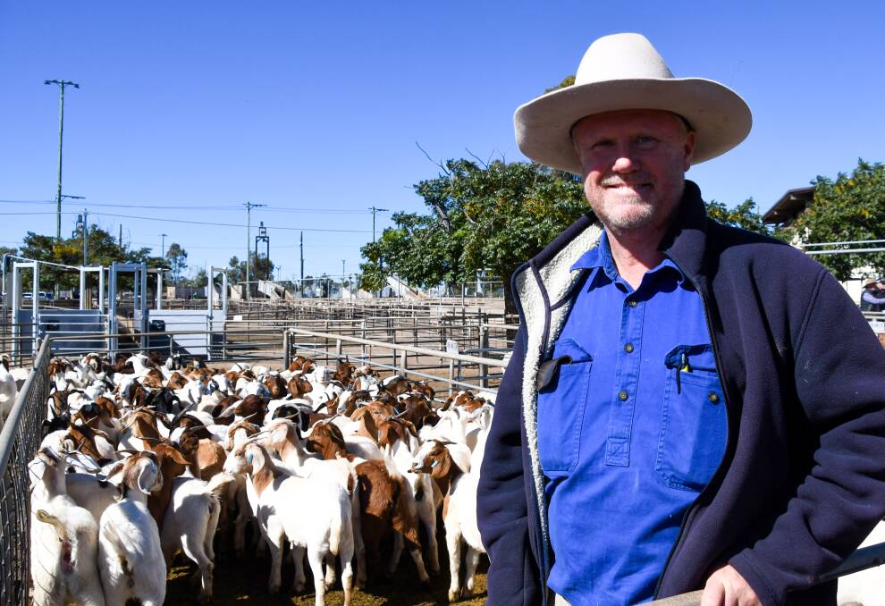 Eric Sharwood, Nullawr, Dubbo, purchased a pen of 94 Boer yearling does for $54 a head at the Dubbo goat sale on May 7. Photo Elka Devney.