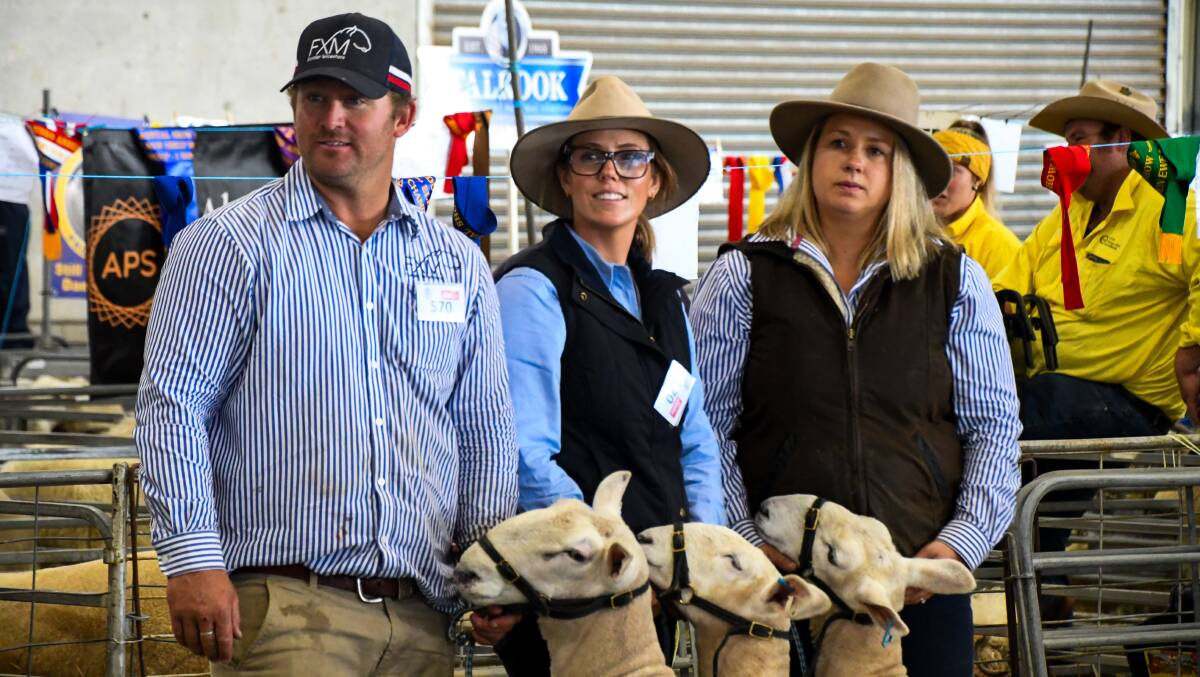 Adam McDonald, FXM Border Leicesters, Baradine, Kaitie Nash, Coonabarabran, and Seona McDonald, FXM Border Leicesters, Baradine, in the ring at the NSW State Sheep Show. Picture by Elka Devney