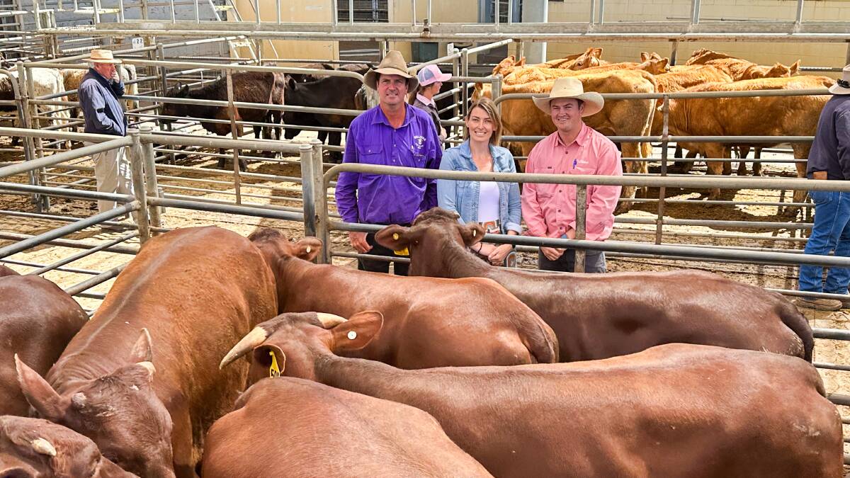 Vendors Rory and Brooke Ryan, Yeoval, and Ben Marlin, Elders, with their pen of 20 Santa Gertrudis heifers, which sold for $880. Picture by Elka Devney