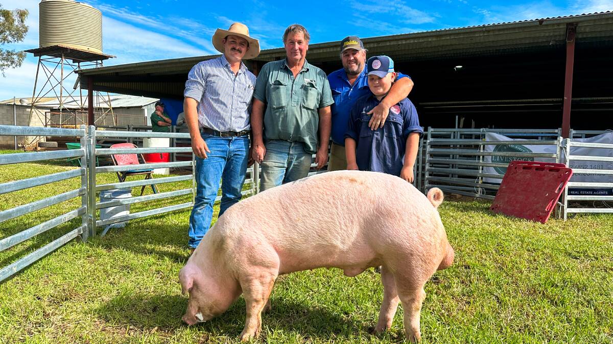 VC Reid Smith Livestock agent Sam Smith, vendor Micheal Blenkiron, Gumshire, Keyneton, SA, buyer John Baxter, Laverstock, Condobolin, and Own Baxter, Riverdale, Forbes, with the top-priced Landrace boar. Picture by Elka Devney