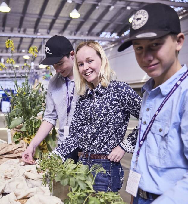 Up to five scholarships valued at $10,000 each will be available for NSW and ACT ag graduates interested in pursuing a career in teaching. Picture supplied. 