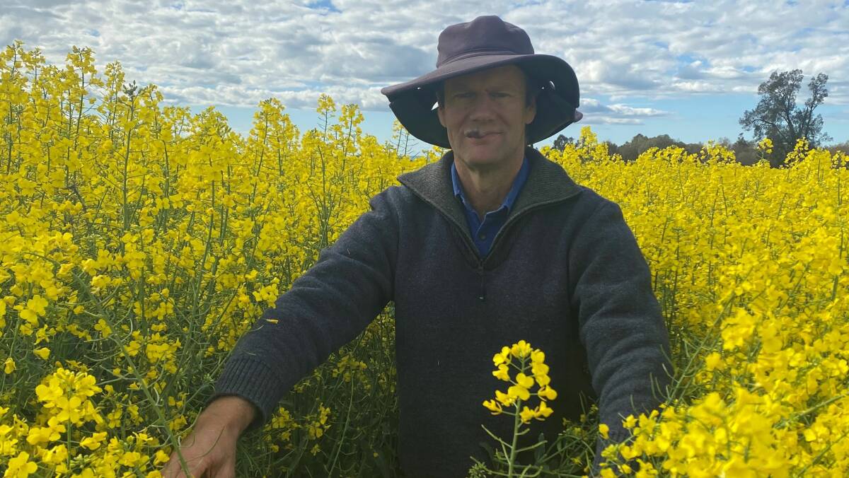 University of New England agronomy and soil science researcher Craig Birchall standing in a canola crop at the Forbes experiment site. Picture supplied