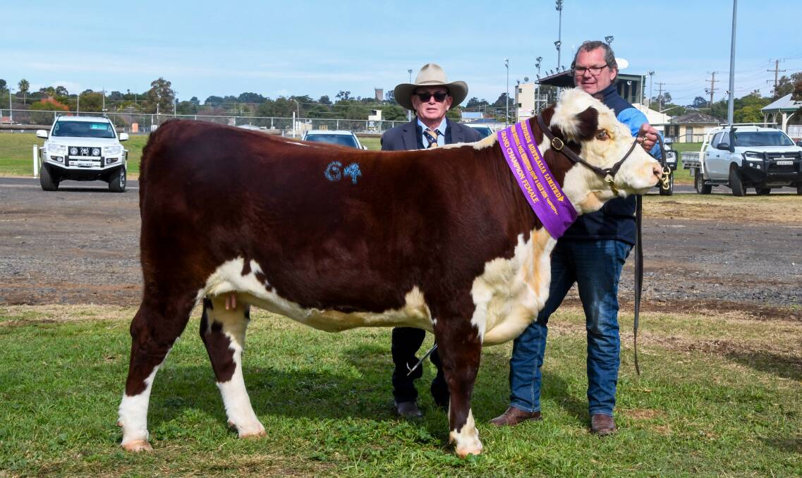 Judge Steve Crowley, Tycolah Poll Herefords, Cobbadah, with Grathlyn stud co-principal Andrew Rayner, Hargraves, and the grand champion female Grathlyn Petal T036. Picture by Elka Devney
